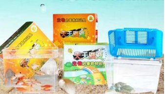 海洋生物產(chǎn)品與店鋪裝修 創(chuàng)新設(shè)計與生態(tài)美學(xué)的融合
