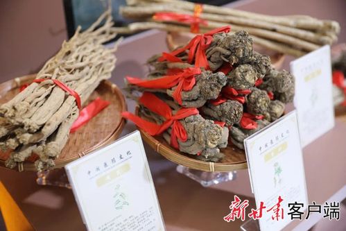 先睹為快 | 第三十屆蘭洽會生物醫(yī)藥館布展工作圓滿完成，生物制品領(lǐng)域亮點紛呈