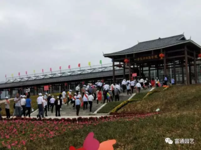 嘉年華與科技推廣和應用服務的融合 創新體驗的新篇章